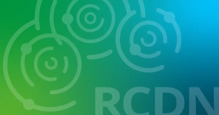 RCDN Wraps Up a Successful Year of Growth and Collaboration!